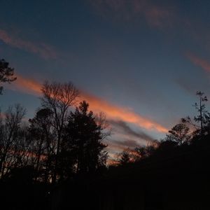 Meet your Posher, Alana